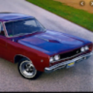 Meet your Posher, Randall